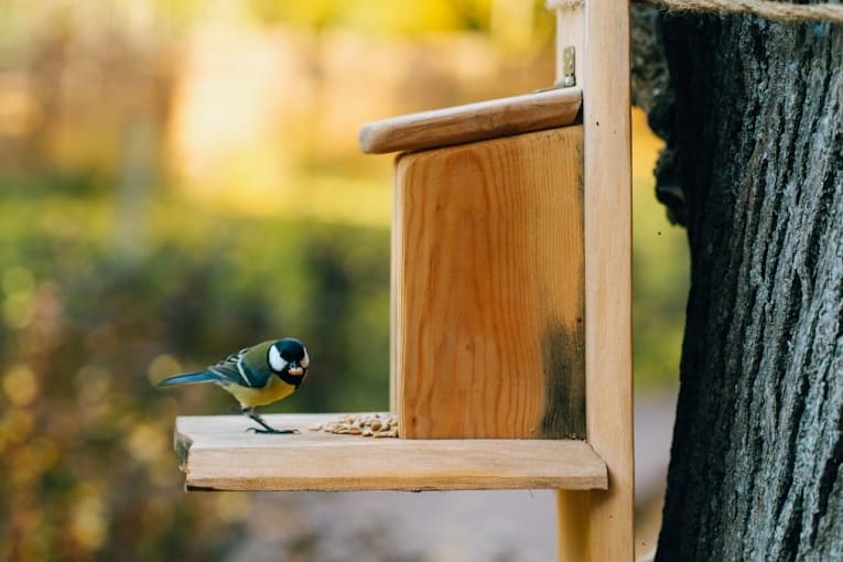 This stress-relieving sound may ease tension in 10 minutes &mdash; and it&rsquo;s free
