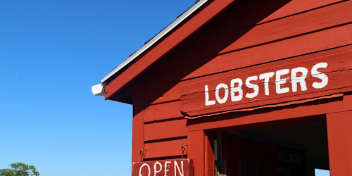 Maine lobsterman catches ultra-rare cotton candy lobster with crazy odds