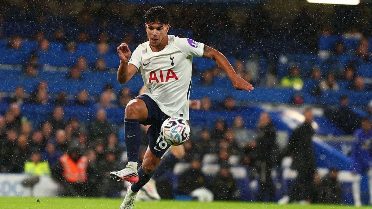 Is Fernandes the key to improving Spurs? - AOL