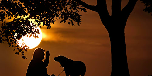 How daylight saving time changes affect you