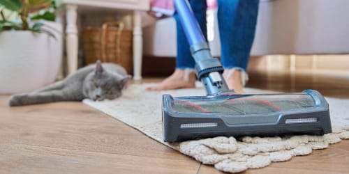This AOL-beloved vacuum brand is running a huge sitewide sale for Labor Day