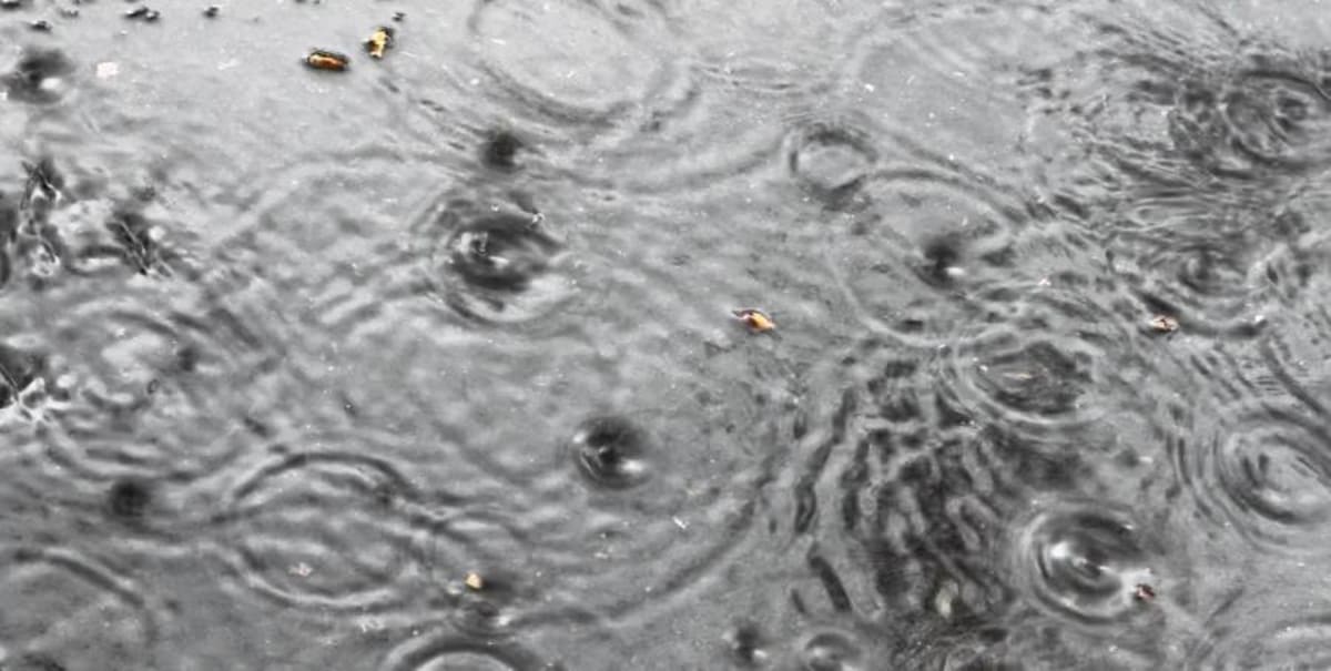 Showers and cool weather continue in Portland on Monday - AOL
