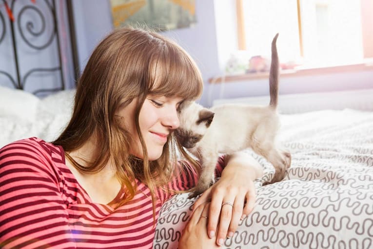 5 traits that prove your cat is one of the most loyal companions you have