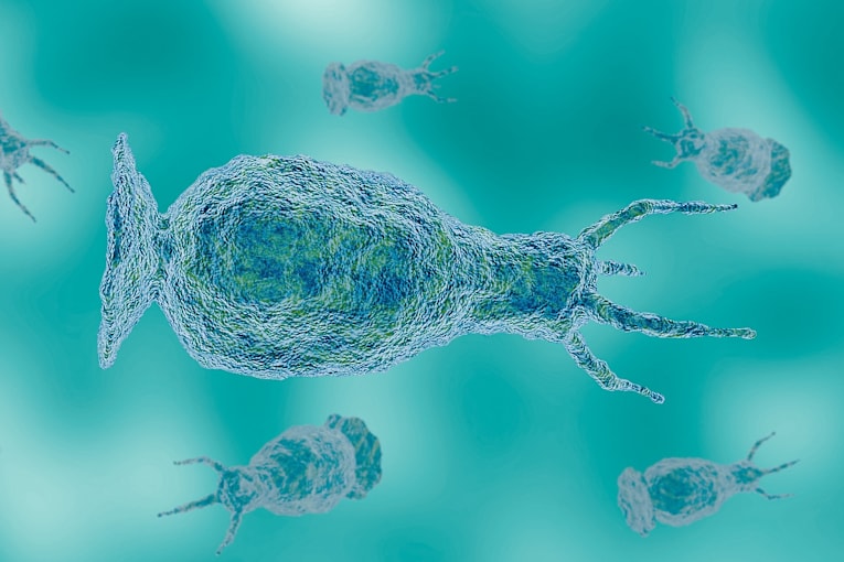 Teen critically ill from rare amoeba found in freshwater: Officials
