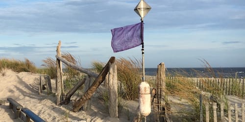 What does a purple flag mean on a beach?