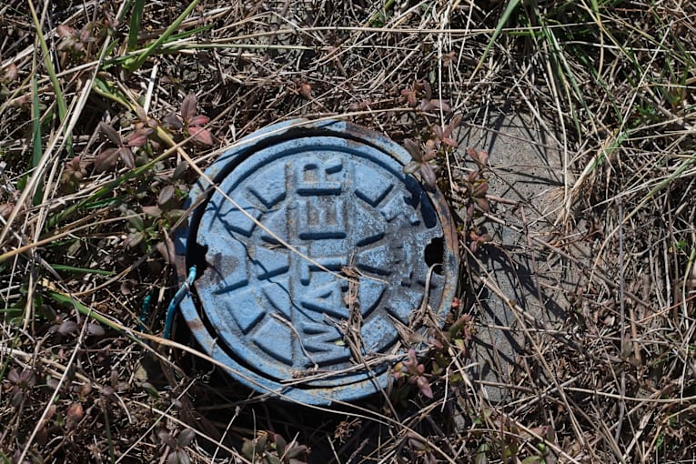 It's not just produce. Where else can 'explosive diarrhea' bug hide?