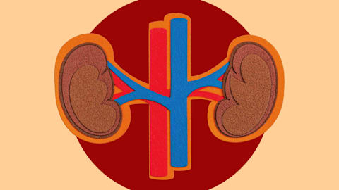 Your kidney disease risk may be increased by this common food