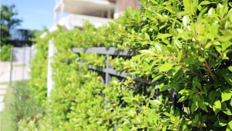 Homeowner Says Her Neighbor Offered to Split the Cost of a Shared Garden Fence, Then Quietly Filed for a Tax Deduction on the Full Amount Without Telling Her
