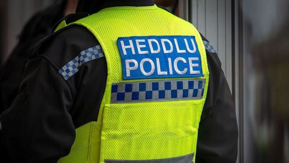 Audi A5 Crash Kills Driver and Dog in Powys