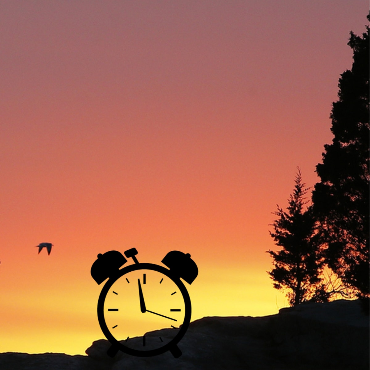 Are we still changing clocks? What to know about daylight saving time ...