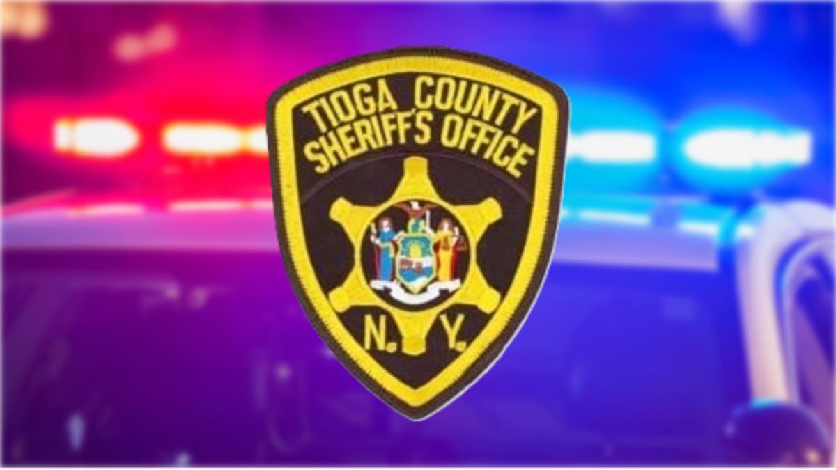 Sheriff: Woman charged for kidnapping 8-year-old girl - AOL