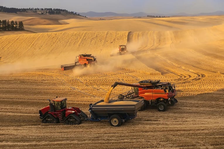 Opinion: Effects of DOGE cuts add to farmers&rsquo; many Trump administration woes