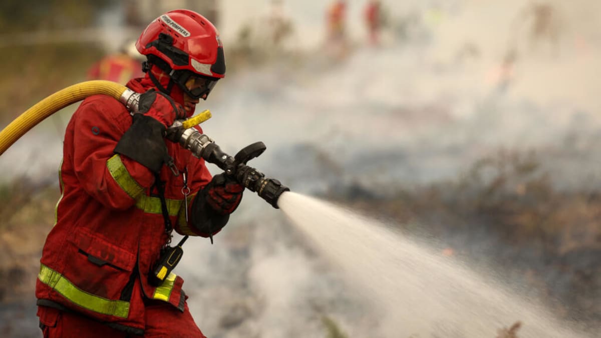 Wildfire situation in France ‘remains very unfavourable’, interior minister says