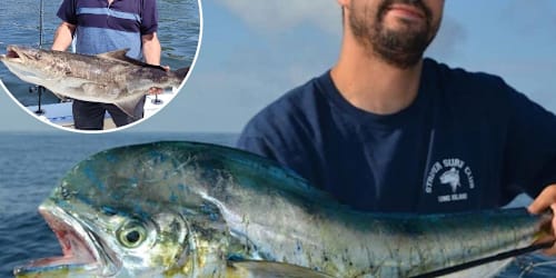 Fish typically seen in Florida invade NYC &mdash; and fishermen are racing for their boats to catch dinner