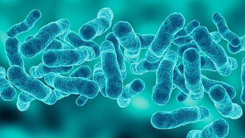 Guggenheim among NYC buildings with Legionella found in cooling towers