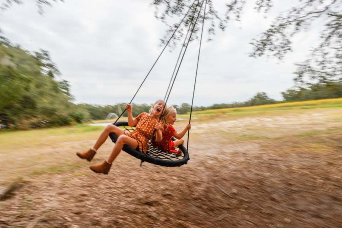 2026 Tampa Bay fall activities: Our ultimate guide - AOL