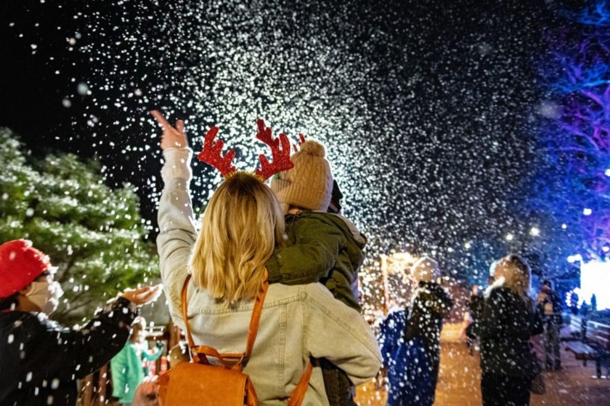 Wild Winter Lights returns to Cleveland Metroparks Zoo - AOL