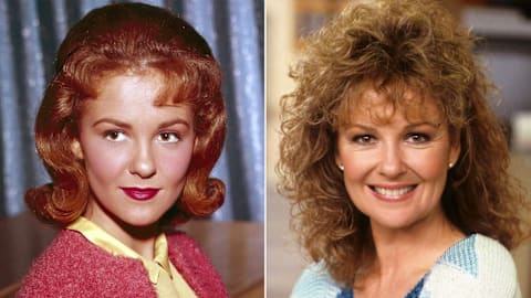 Shelley Fabares, star of 'Coach' and 'The Donna Reed Show,' dies at 82