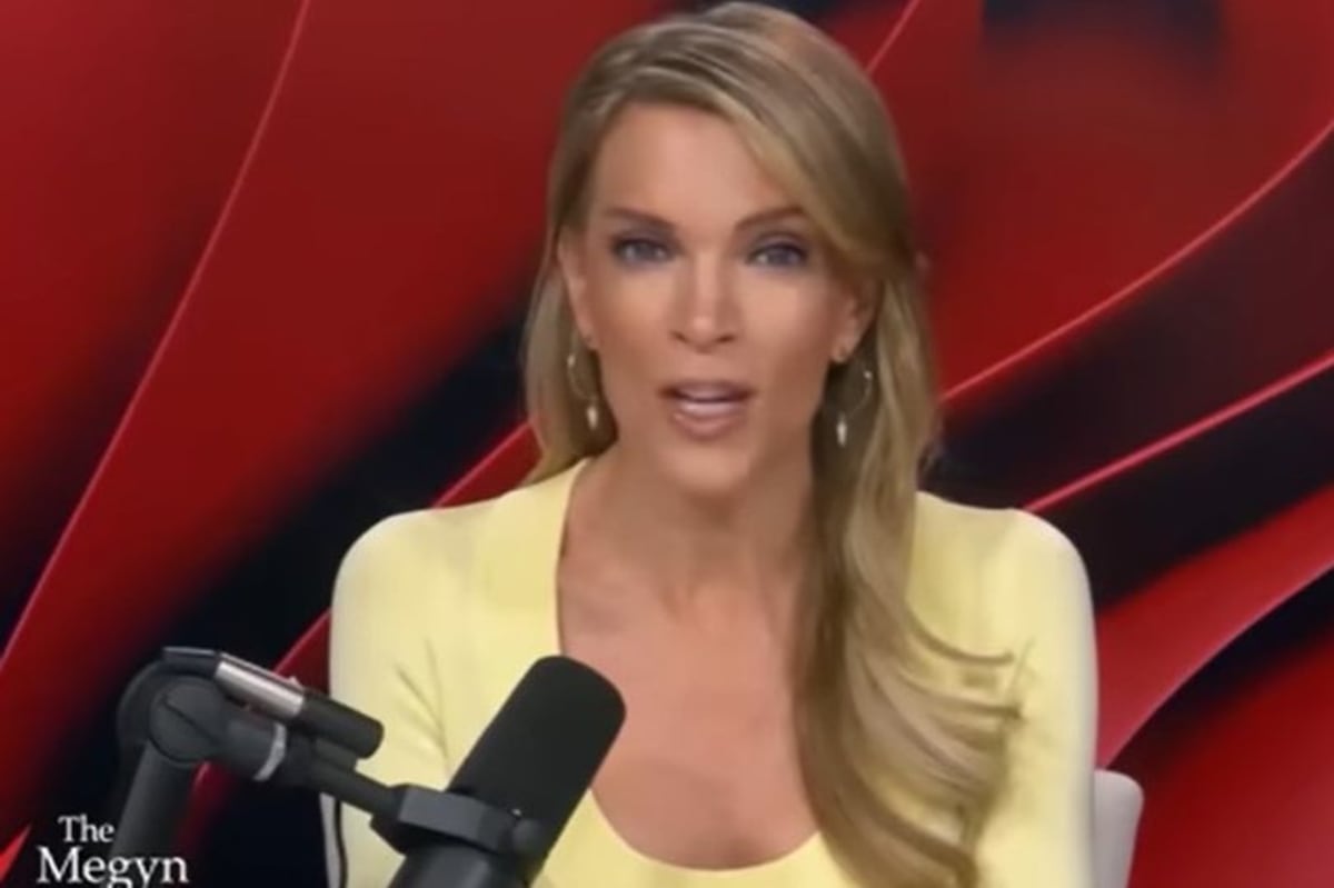 Megyn Kelly drops F-bomb rant as she tears into Trump over gas prices - AOL