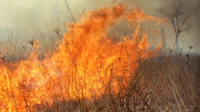 ODNR Warns Ohioans About Fall Wildfire Risks and Outdoor Burning Rules - Scioto Post