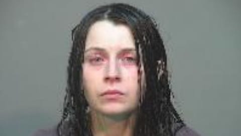 Lawyer reveals Ohio mom's first question after her 16 &lsquo;feral' children rescued from house