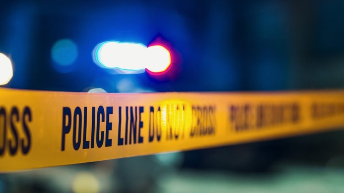 Drivers Side Rim Suspect steals car after driving on rims through Metroparks - AOL