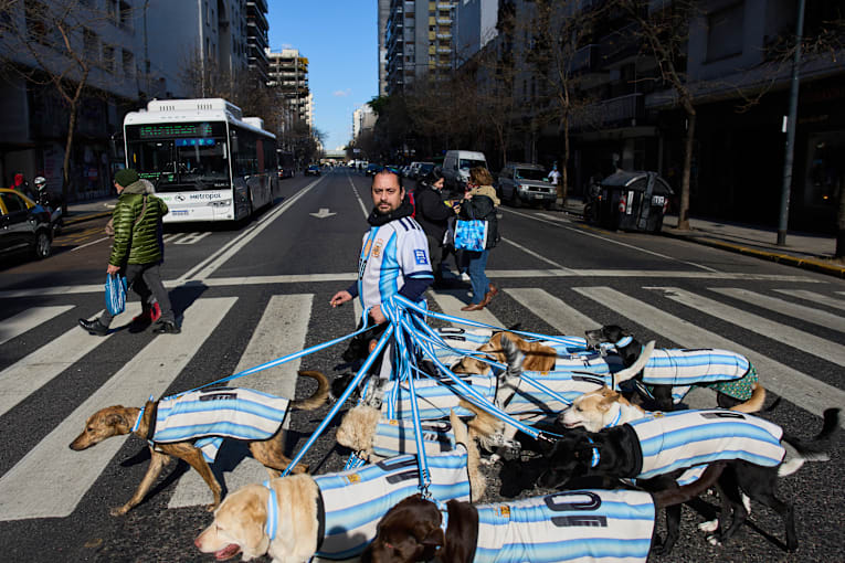 Puppy love as dog walker turns his pack of 13 into Argentina jersey-clad World Cup followers