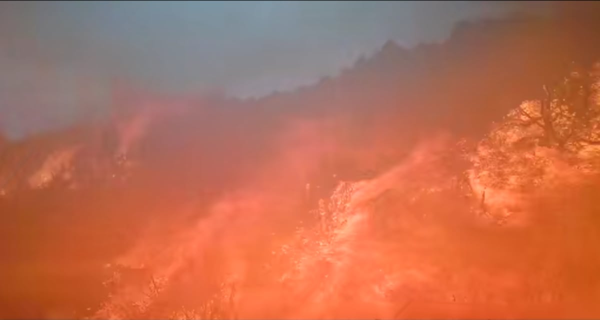 WATCH: Wildlife cameras capture Iron Fire devastation moments before ...