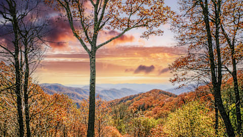 America's 'Worst State to Live in for 2026' is a popular vacation destination on the East Coast
