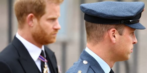 Prince Harry and Prince William broke a lifelong pledge they made years ago: Author
