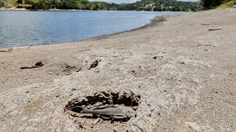 US declares drought disaster for parts of Puerto Rico as dry conditions persist