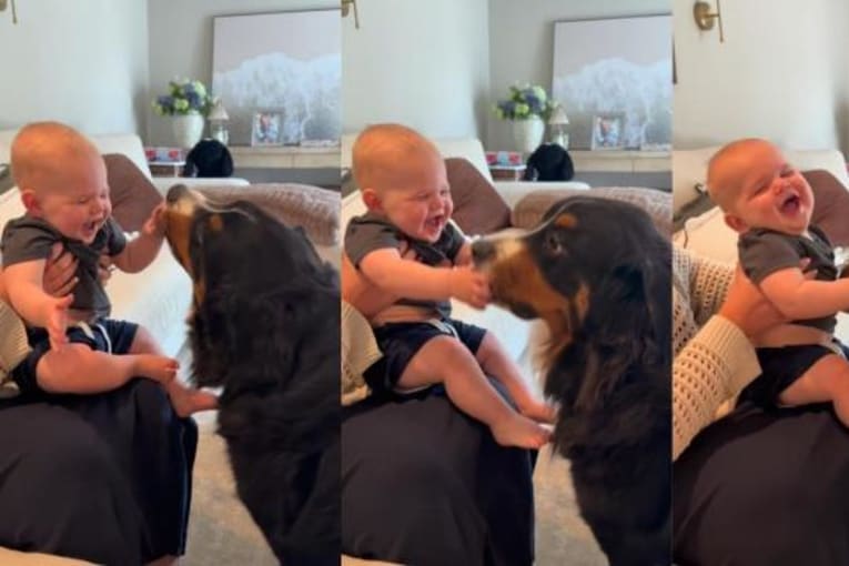 Family dog makes baby giggle nonstop with sweet little kisses