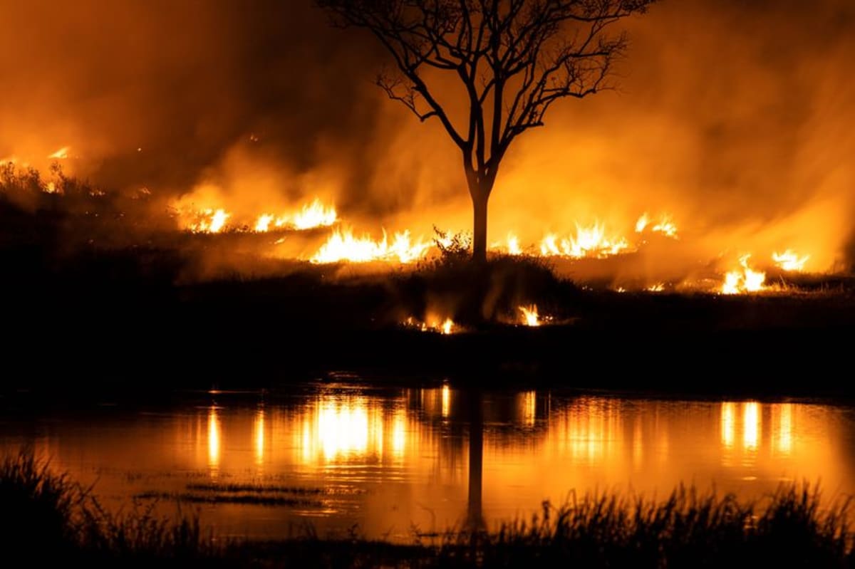 Experts predict date world will end with chilling equation and it's ...