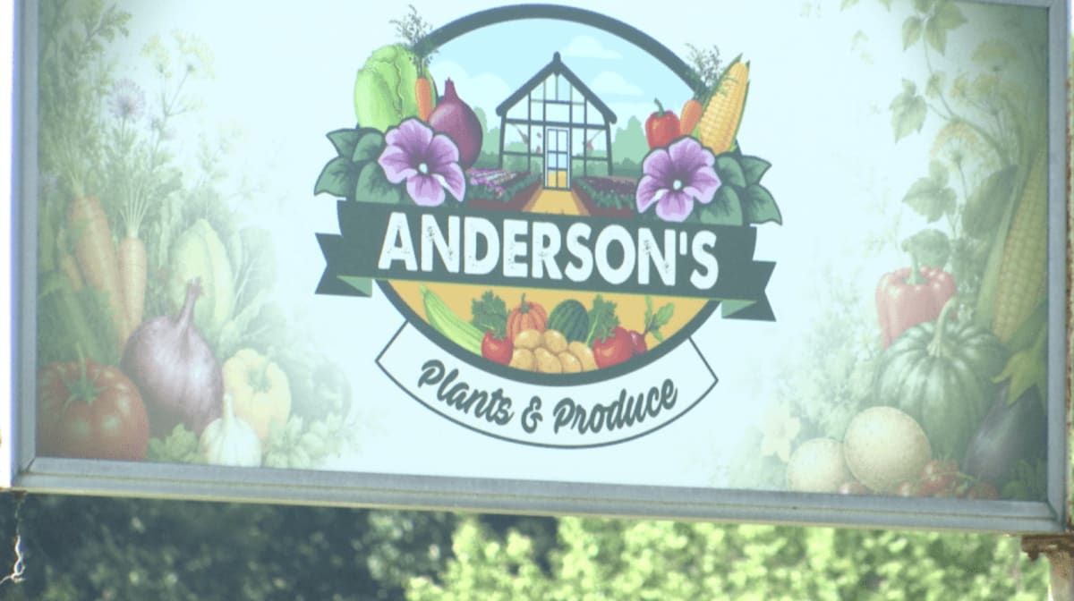 Local plant and produce shop opens new location - AOL