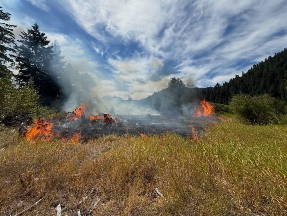 Sand Prairie Fire near Oakridge 90% lined - AOL