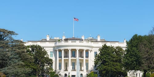 Opinion: We need a mayor for president