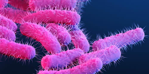New sexually transmitted diarrhea ‘superbug’ is ‘close to untreatable’: Experts