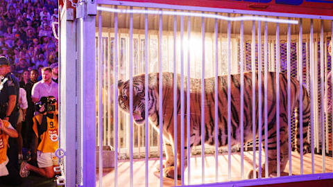 Remember this? Top 5 most iconic college live mascot moments