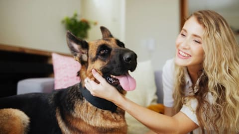 7 guard dogs that are surprisingly great for first-time owners
