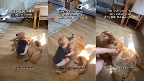 Mom walks in on golden retriever and toddler sharing a special moment
