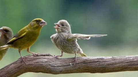 106 times nature decided to show off and people were lucky enough to capture it