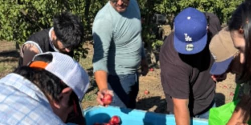 Farmer ordered to destroy his orchard after giving away thousands of pounds of free fruit