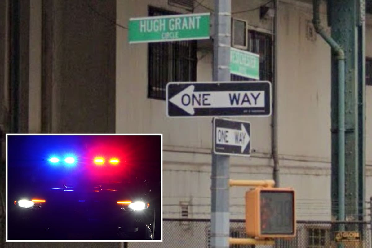 NYC nut randomly slashes man, 62, with boxcutter in broad daylight ...