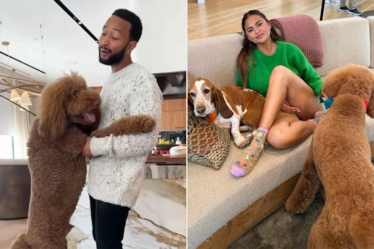 John Legend dances with giant pet poodle Petey as he and Chrissy Teigen celebrate National Dog Day