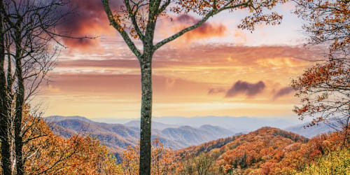 America's 'worst state to live in for 2026' is a popular vacation destination in the Southeast