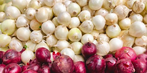 Never buy onions if you see this red flag at the store