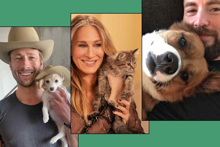 11 stars who adopted the adorable animals they met on set