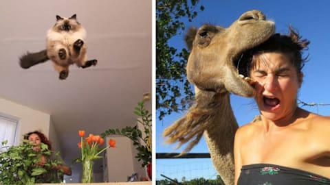 50 funny animal photos that could easily win a comedy award