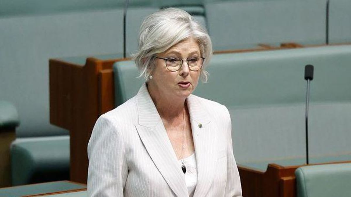Home Attack Australian MP's condition improves after alleged car attack - AOL