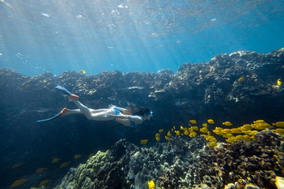 Woman swims from 'hidden beach' but realises life is in danger when creatures join her